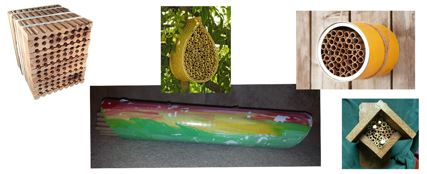 Mason Bee House Design